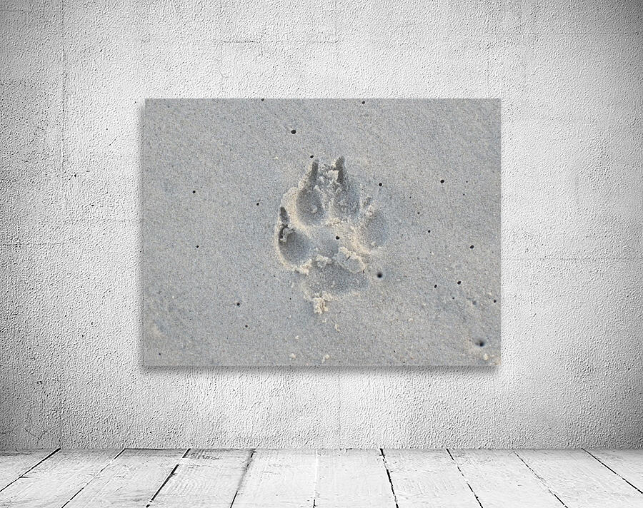 Dog Print Wall Preview