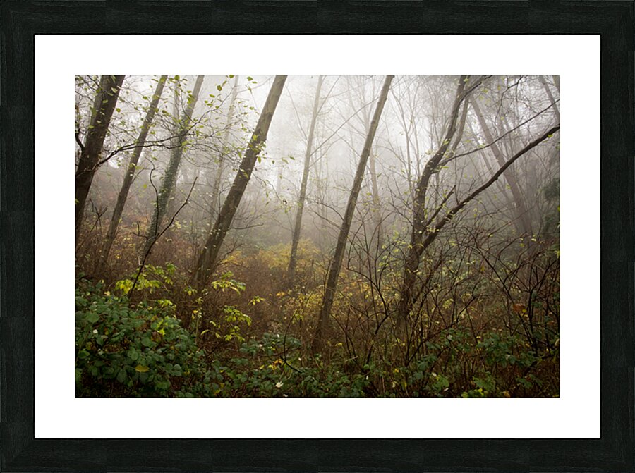 The Enchanted Forest Picture Frame print
