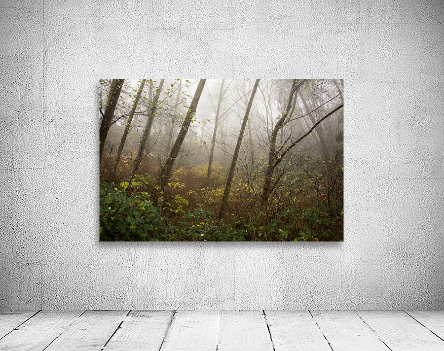 The Enchanted Forest Wall Preview