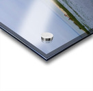 Tree in lake Acrylic print