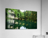 Forest lake Acrylic Print