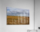 Normandy field Acrylic Print