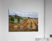 Normandy field Acrylic Print