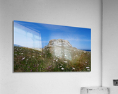 Rock and flowers  Acrylic Print