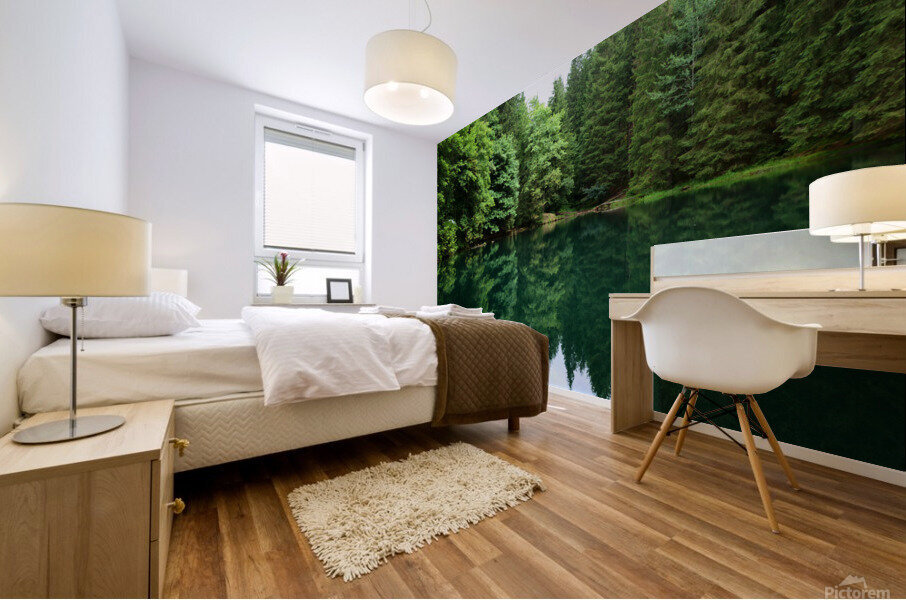 Forest lake Mural print