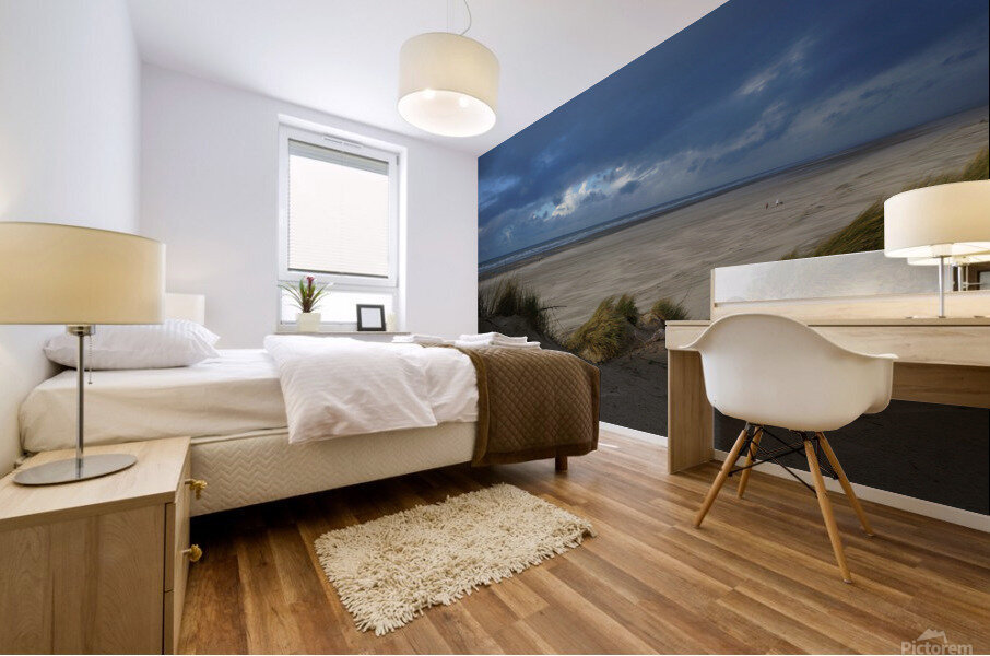 Beach in winter Mural print