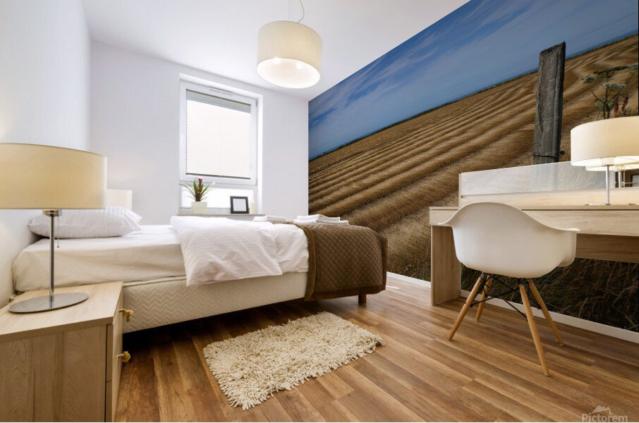 Normandy field Mural print