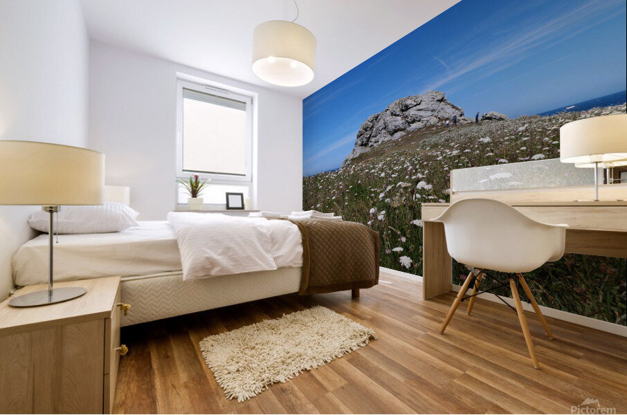 Rock and flowers  Mural print