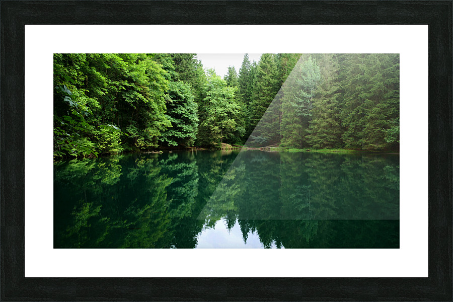 Forest lake Picture Frame print
