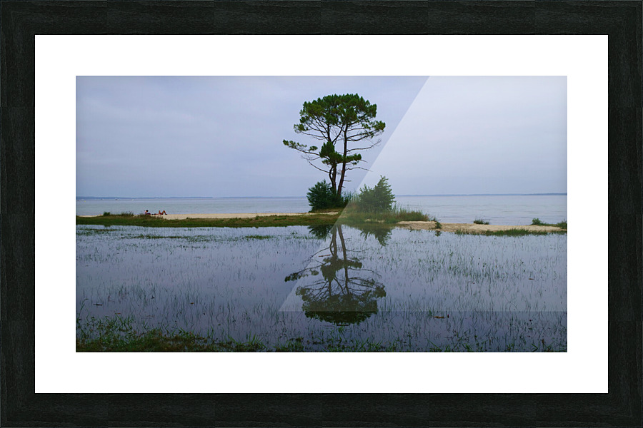 Tree in lake Picture Frame print