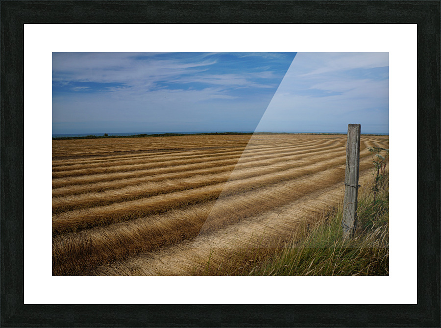 Normandy field Picture Frame print