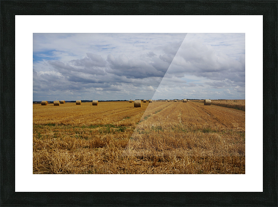 Normandy field Picture Frame print