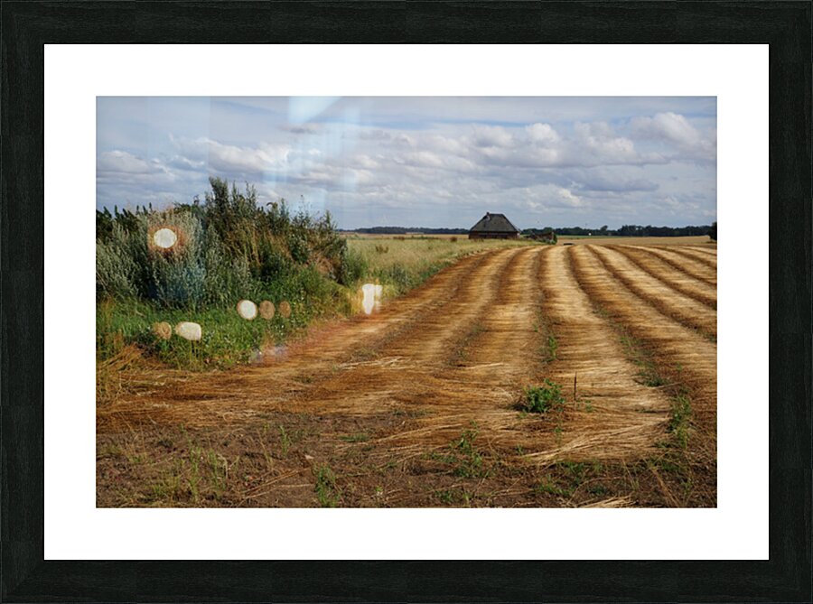 Normandy field Picture Frame print