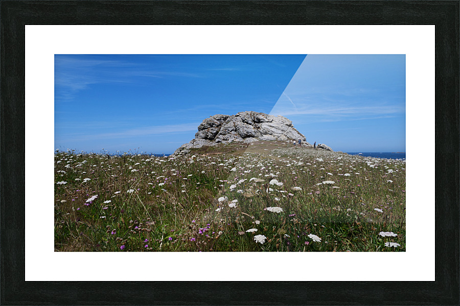 Rock and flowers  Picture Frame print