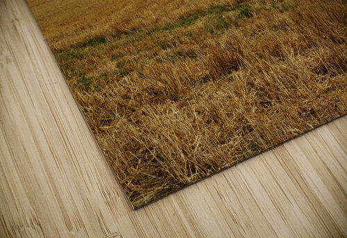Normandy field Cedric Doz puzzle
