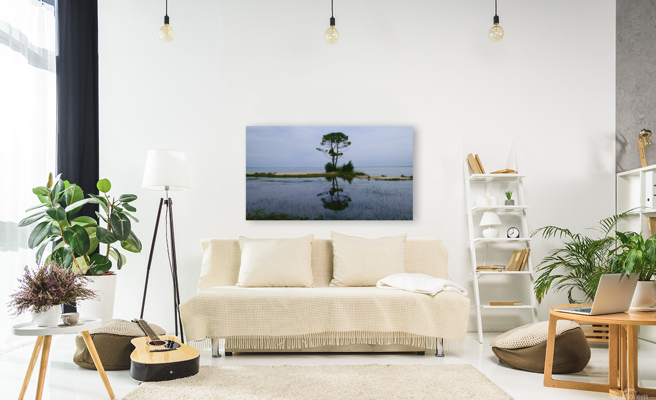 Tree in lake Reproduction