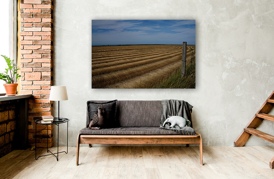 Normandy field Reproduction