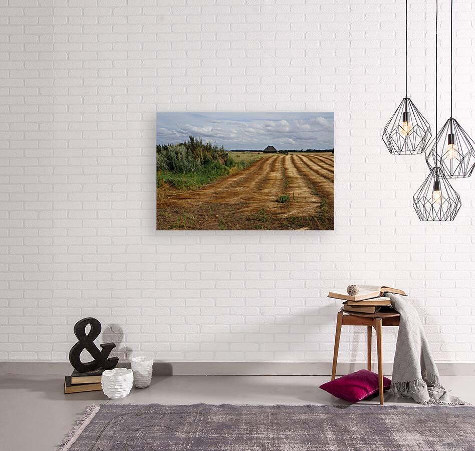Normandy field Reproduction