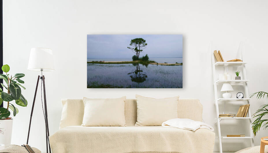 Tree in lake Reproduction