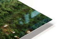 Forest lake HD Metal print