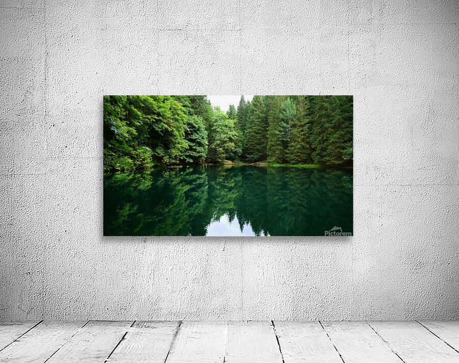 Forest lake Wall Preview