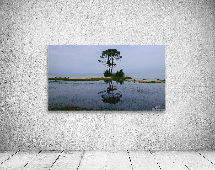 Tree in lake Wall Preview
