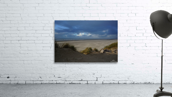 Beach in winter Wall Preview