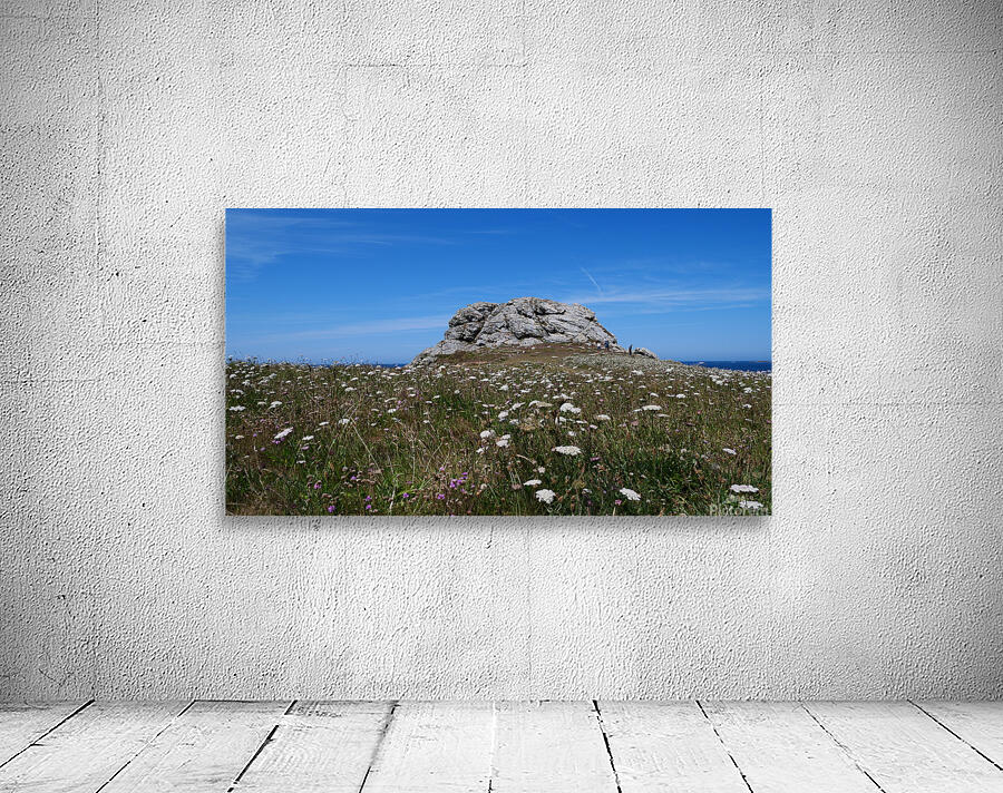 Rock and flowers  Wall Preview