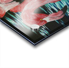 Flamingos Acrylic print