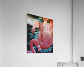 Flamingos Acrylic Print