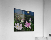 Night Lotus 2 Acrylic Print