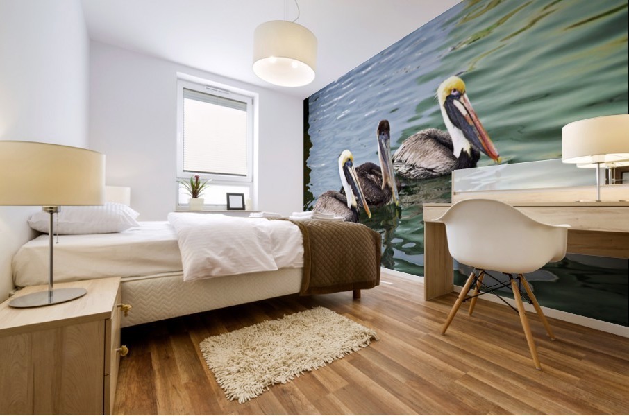 Pelicans Mural print