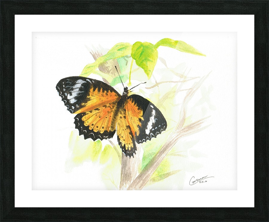 Butterfly Picture Frame print