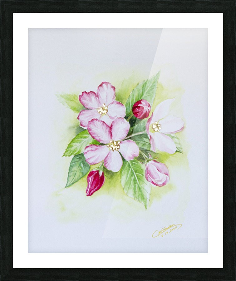 Apple Blossom Picture Frame print