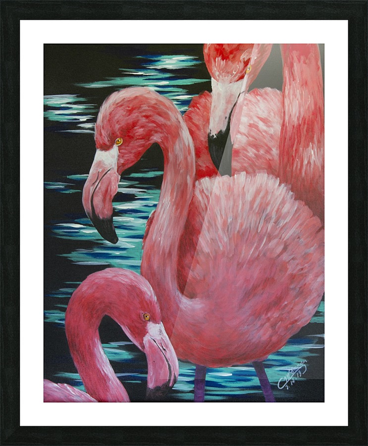Flamingos Picture Frame print