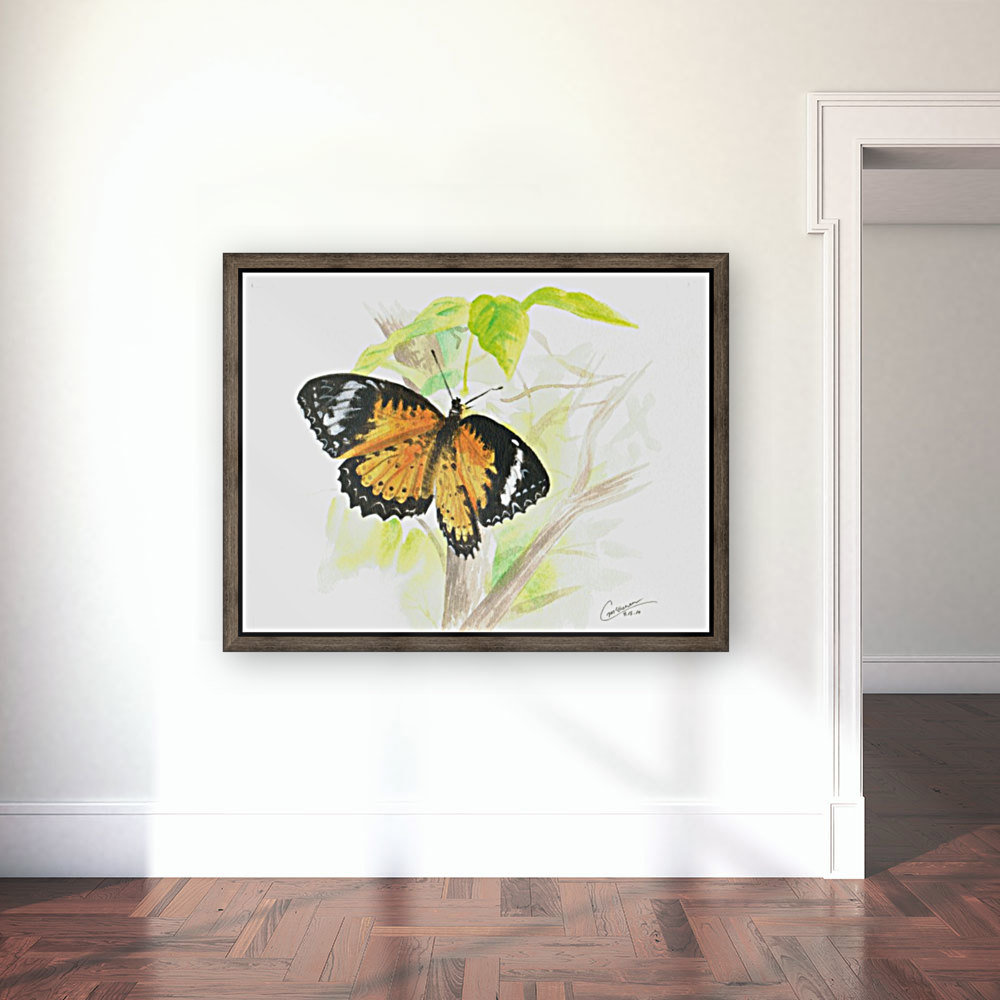 Butterfly Reproduction