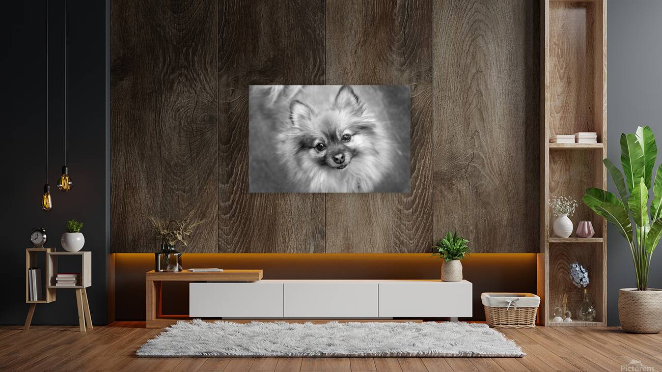 CO 2023 Coco1 BW Reproduction