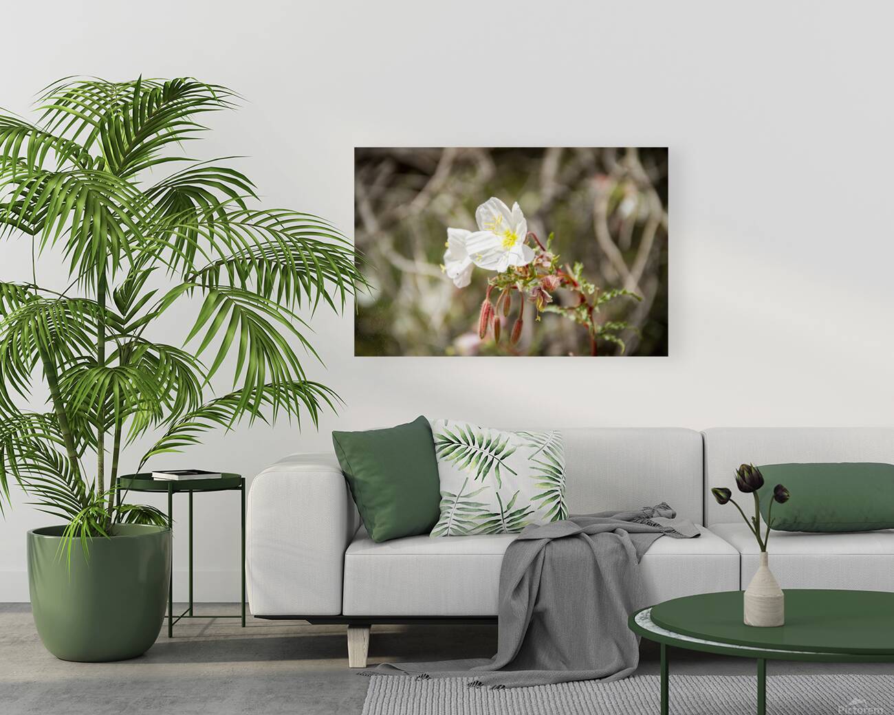 CO 2023 CONational Monument flower3 Reproduction