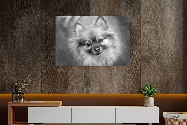 CO 2023 Coco1 BW Reproduction