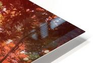 Autumn Leaves 2 HD Metal print