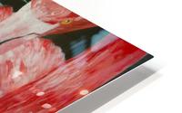 Flamingos HD Metal print