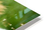 CO 2023 Tiny2 HD Metal print