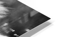 CO 2023 Tiny2 BW HD Metal print