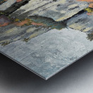 IMG 9824 1708396493.2488 Metal print