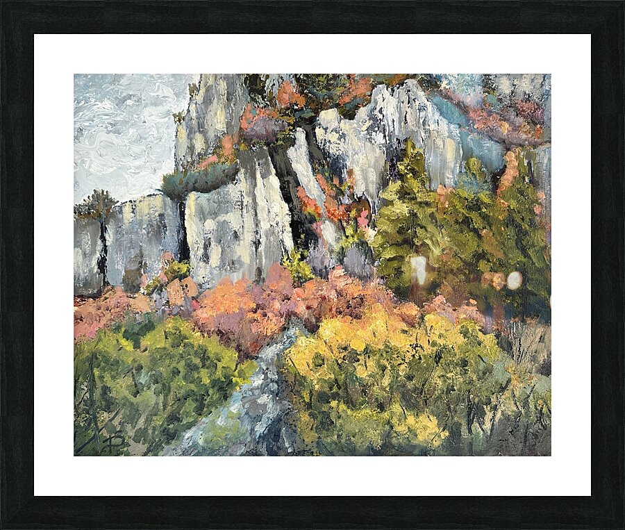 IMG 9824 1708396493.2488 Picture Frame print