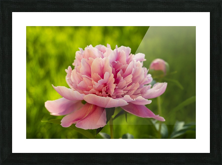 Perfect  Picture Frame print