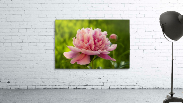 Perfect  Wall Preview
