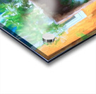 DSC 2364 3 Edit Edit Acrylic print