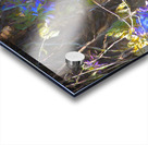 DSC 2636 studio Acrylic print