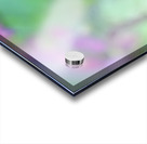 DSC 7644 1 Acrylic print